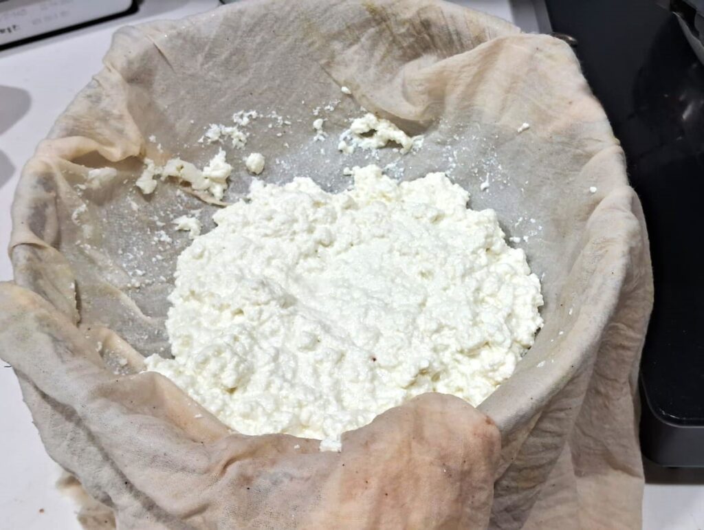 Indian Style Cheesecake