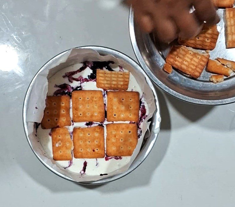 Blueberry Cheesecake Ice Cream Cake